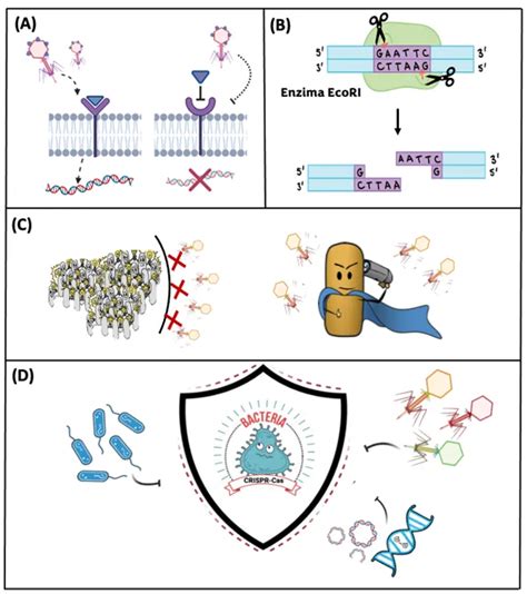 Biotecnología en Movimiento 30 1