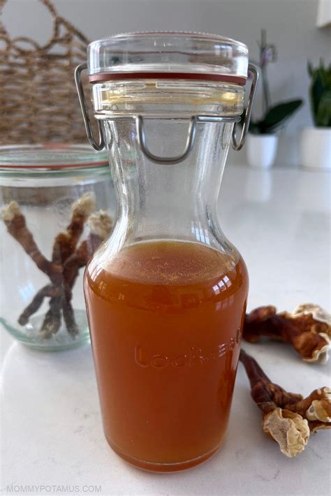 How To Make A Dual Extraction Reishi Tincture Mobivycom