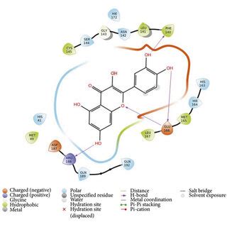 Ligand Protein 2D Interaction Diagram Of Molecular Docking A