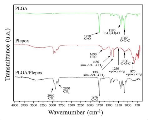 Ftir Spectra Of Plga Epoxidized Polyisoprene And Plgapiepox Download Scientific Diagram