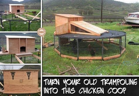 Diy Trampoline Chicken Coop The Owner Builder Network