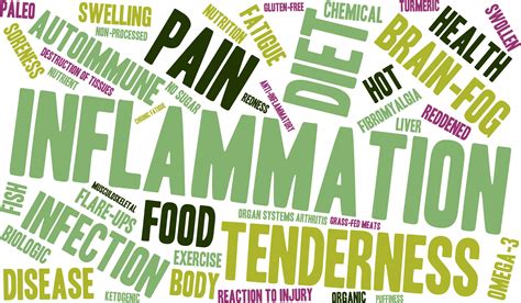 Understanding Autoimmune Disease Part Kris Ulland