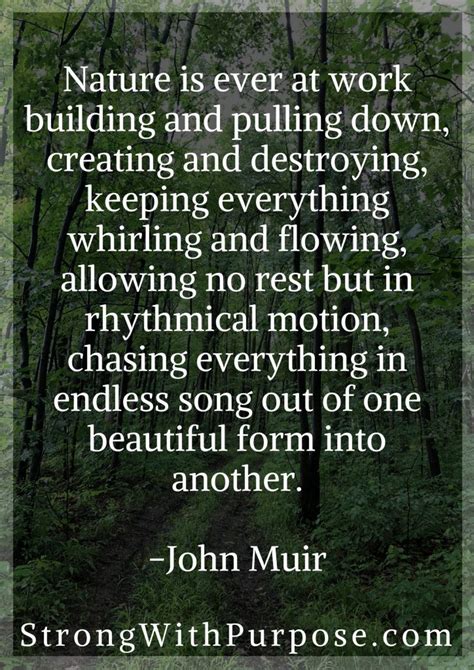 5 John Muir Quotes About Nature to Ignite Your Wild Spirit - Strong ...