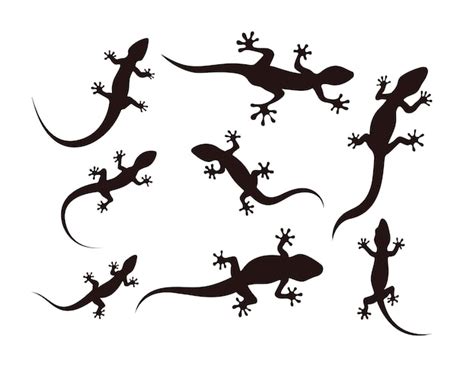 Premium Vector Lizard Silhouette With Many Options Gecko Crawling