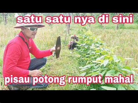 HARGA PISAU MESIN RUMPUT SANGAT MAHAL SELANGIT YouTube