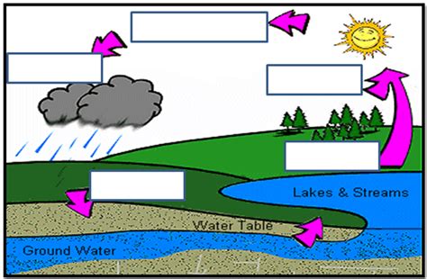 Basic Water Cycle Diagram No Labels Cycle Water Worksheet Di