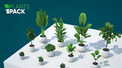 D Model Plants Pack Vr Ar Low Poly Cgtrader