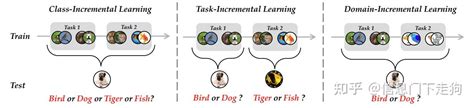 南大and南洋理工最新 类别增量学习综述 多维全面分析与严格统一评估 知乎