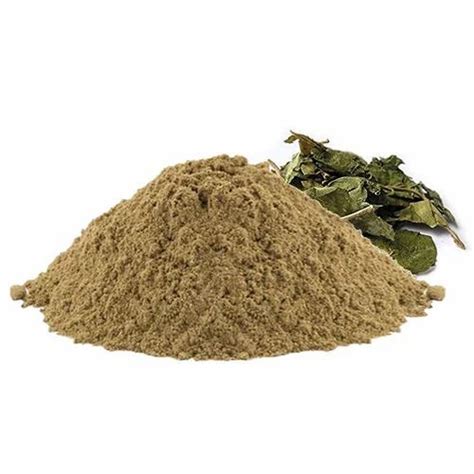 Gurmar Powder Gymnema Extract Powder Gymnema Sylvestre Powder