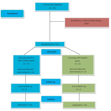 Flow Chart Of Enrollment Allocation Follow Up And Analysis Of