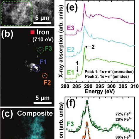 Stxm Speciation Maps Tem Image Carbon K Edge X Ray Absorption Spectra