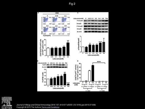 Effects Of Lidocaine On Regulatory T Cells In Atopic Dermatitis Ppt