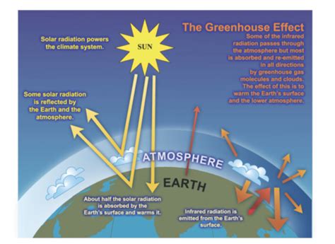 Climate Change Flashcards Quizlet