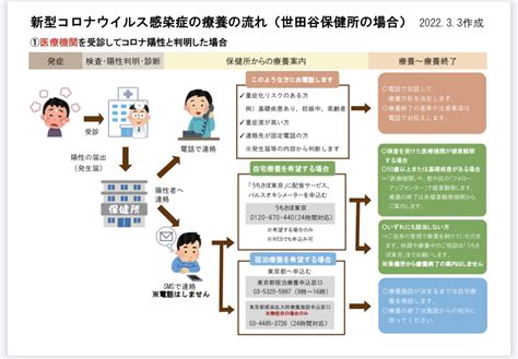 新型コロナの陽性になったら？731 世田谷区議会議員 岡本のぶ子オフィシャルホームページ