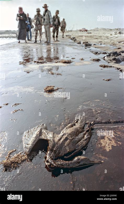 Gulf war 1991 oil spill hi-res stock photography and images - Alamy