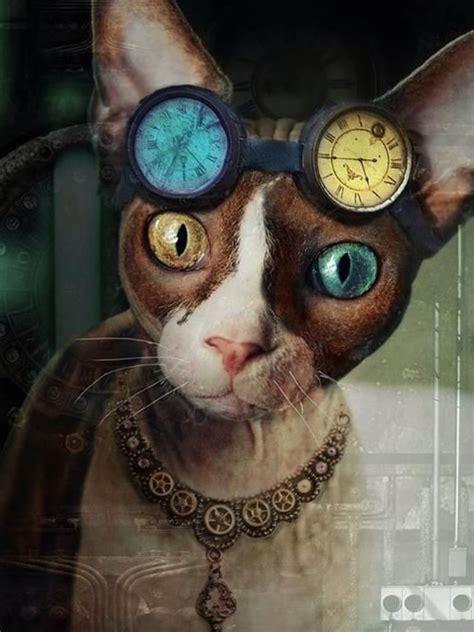 Chat Steampunk Mode Steampunk Steampunk Tendencies Punk Cats