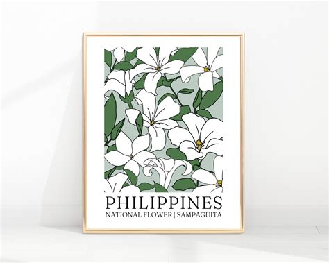 Philippine National Flower Sampaguita Drawing