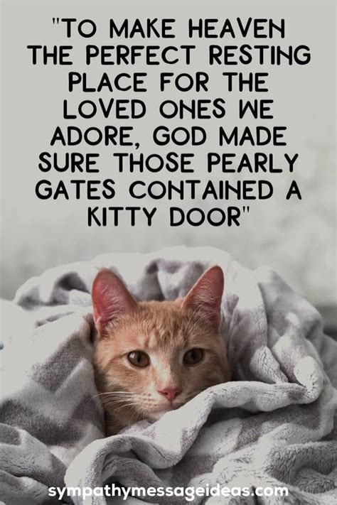 41 Heartfelt Loss of Cat Quotes and Images - Sympathy Message Ideas