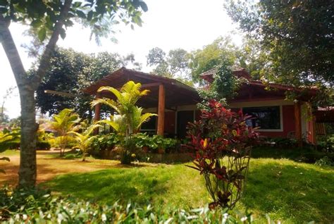 Coorg Cliff View Homestay Best Rates on Coorg Hotel Deals, Reviews & Photos