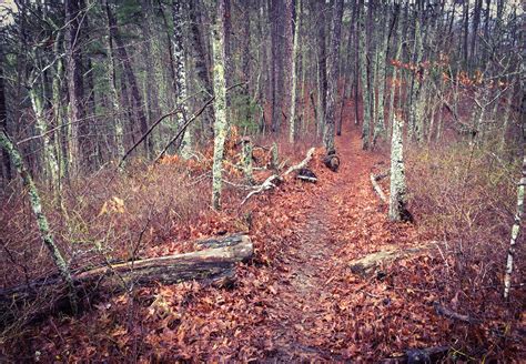 The Trail From The Noc To Fontana Dam 16838805525 O Flickr