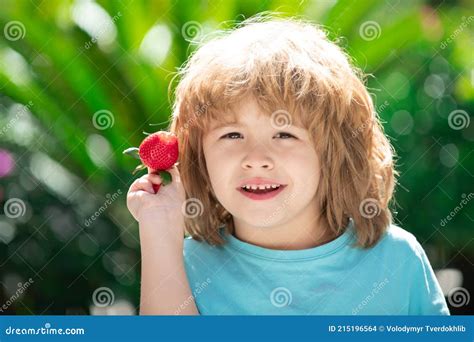 Niño Con Cara Feliz Comiendo Fresa Niño Sostener Fresa Foto De