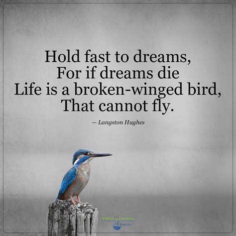 Langston Hughes Quotes Hold Fast To Dreams