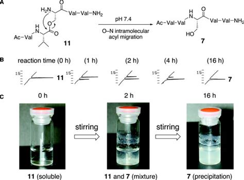 A Conversion Of O Acyl Isopeptide 11 To 7 Via On Intramolecular Acyl