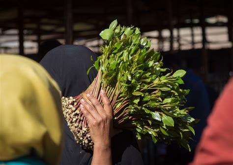 Saudi Authorities Thwart Attempt To Smuggle 93kgs Of Qat Arab News