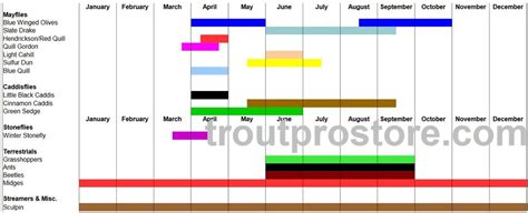 Nh Fly Hatch Chart Quick Delivery Gt