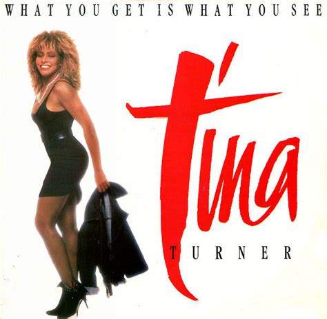 Tina Turner - What You Get Is What You See | Discogs