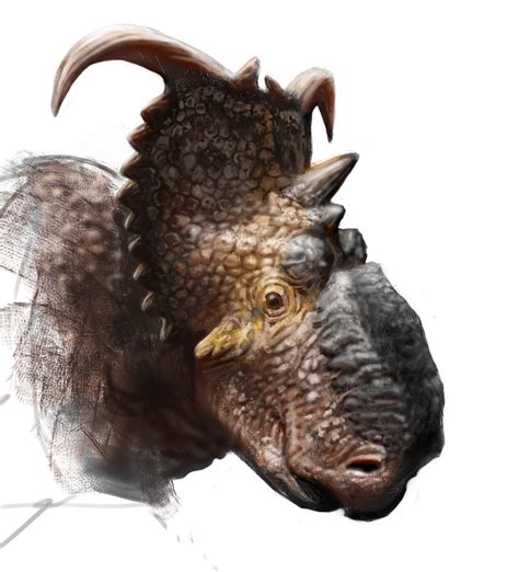 Pachyrhinosaurus Animal And Plant Wiki Fandom