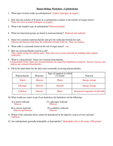 Macromolecule Sheets Honors Answers3333444 34324244343432432425