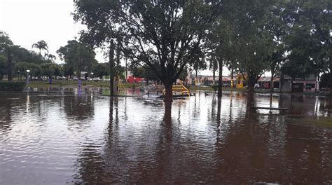 Fotogaleria Chuva De Granizo E Ventania Causam Estragos Em Cassil Ndia