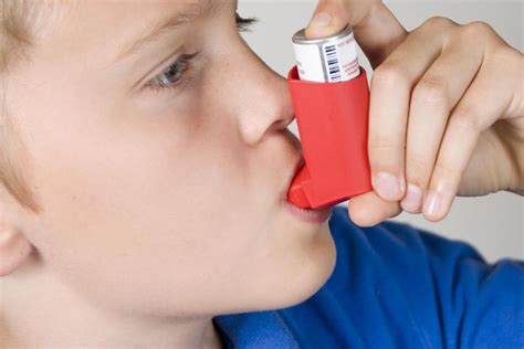 Allergies Asthma And The Immune System Understanding The Connection