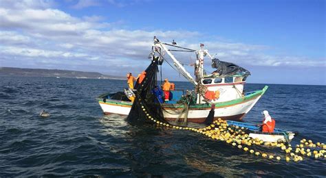 Costa Cu Les Son Las Actividades Econ Micas De La Regi N Natural Del