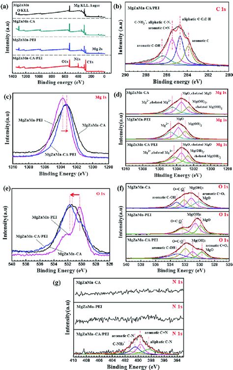 A XPS Wide Scans B C 1s High Resolution Spectra C And D Mg 1s