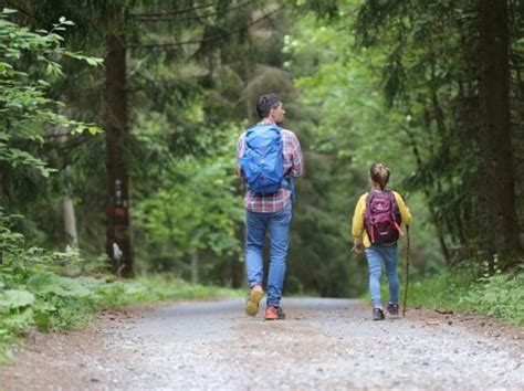 The Ultimate Guide To Free Range Parenting Parenting And Human