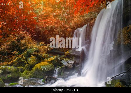 Wasserfall Im Regenwald Auf Phu Wanne Berk Berg Phetchabun Thailand