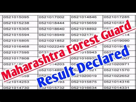 Maharashtra Forest Guard Result Kaise Dekhe How To Check