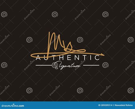 Letter MV Signature Logo Template Vector Stock Vector Illustration Of