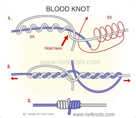 Blood Knot - How to tie a Blood Knot | Fishing Knots