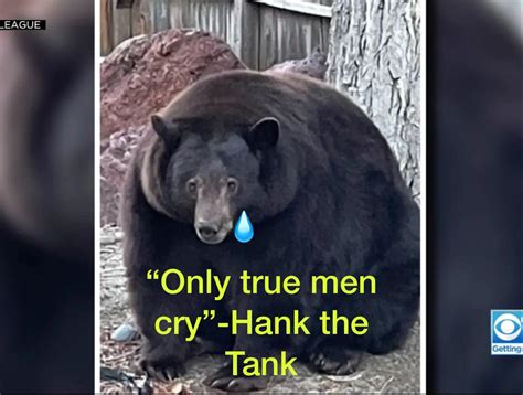 Hank : r/Hankthetankmemes