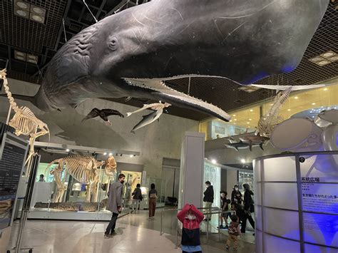 【東京都】国立科学博物館 子連れお出かけ旅ライフ