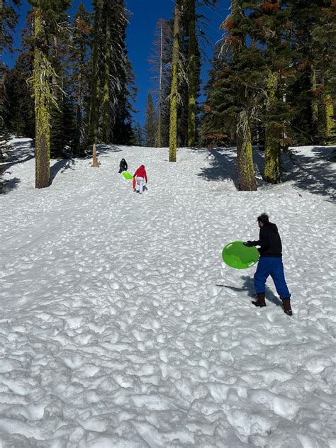 Donner Pass Snow Trip Waterside Workshops