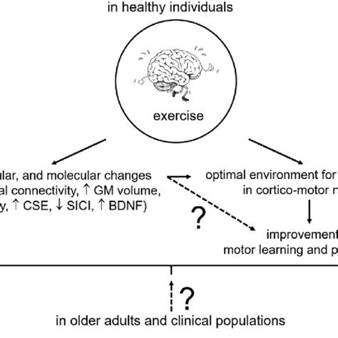 PDF Understanding The Neurophysiological And Molecular Mechanisms Of