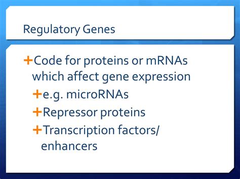 Control Of Gene Expression Ppt Download