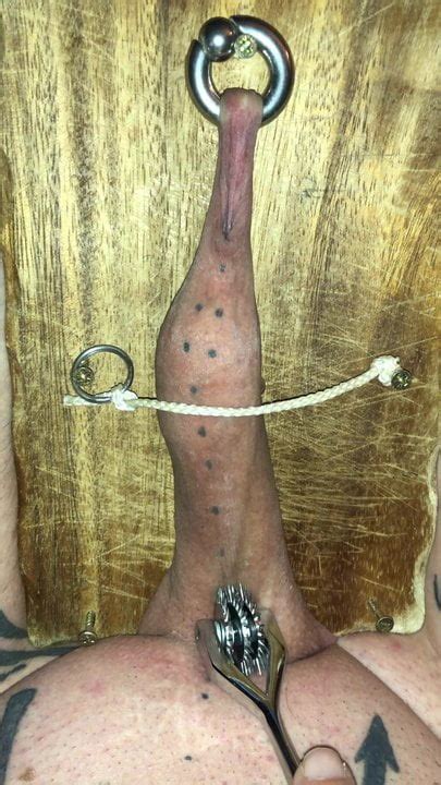 CBT Gay BDSM Man Porn XHamster
