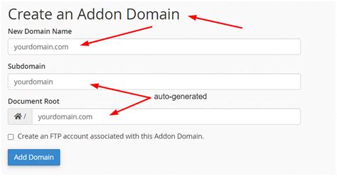 How To Set Up A CPanel Addon Domain IntoHOST