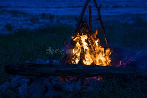 Fire Burning on the Beach at Night. Bright Fire, Firewood Stock Photo ...