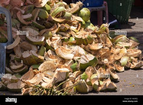 Coconut Waste Hi Res Stock Photography And Images Alamy